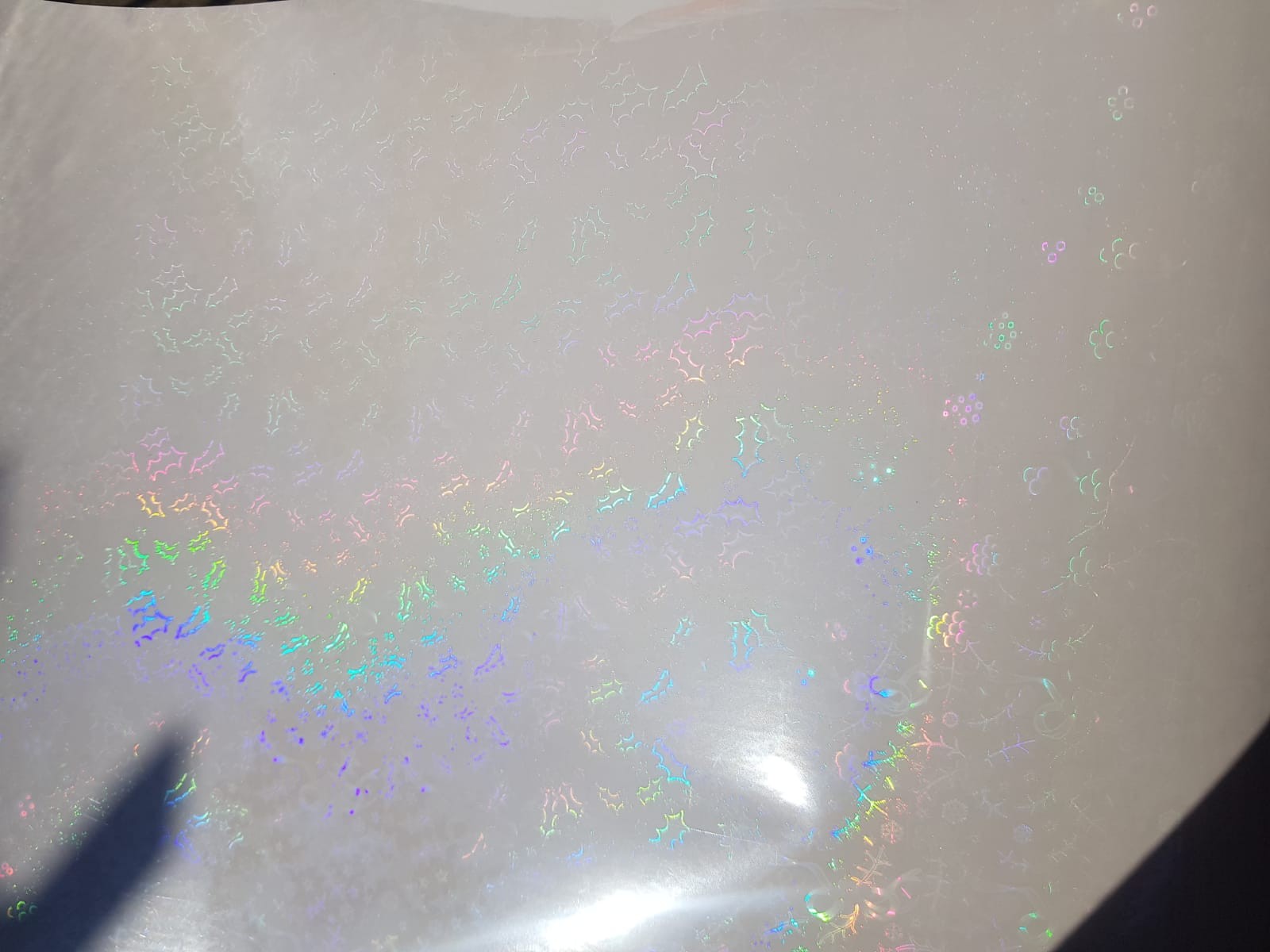 LAMINADO EN FRIO HOLOGRÁFICOS