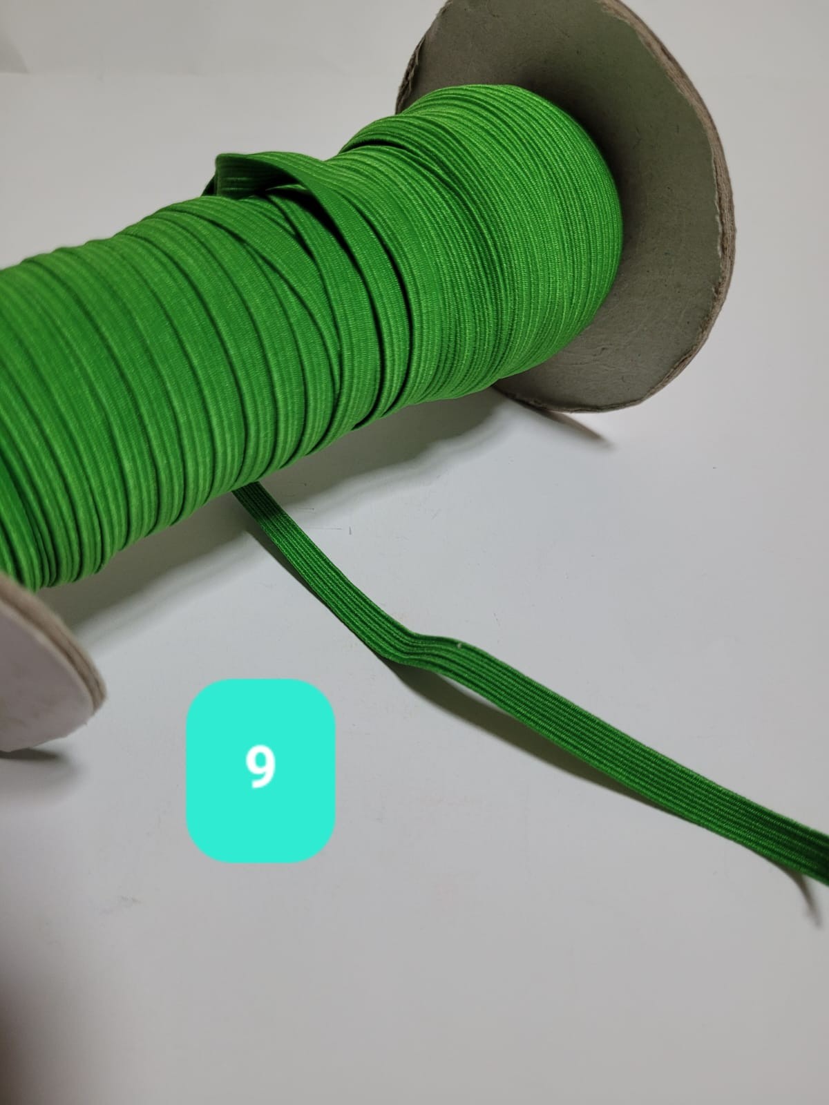 ELASTICO COLORES